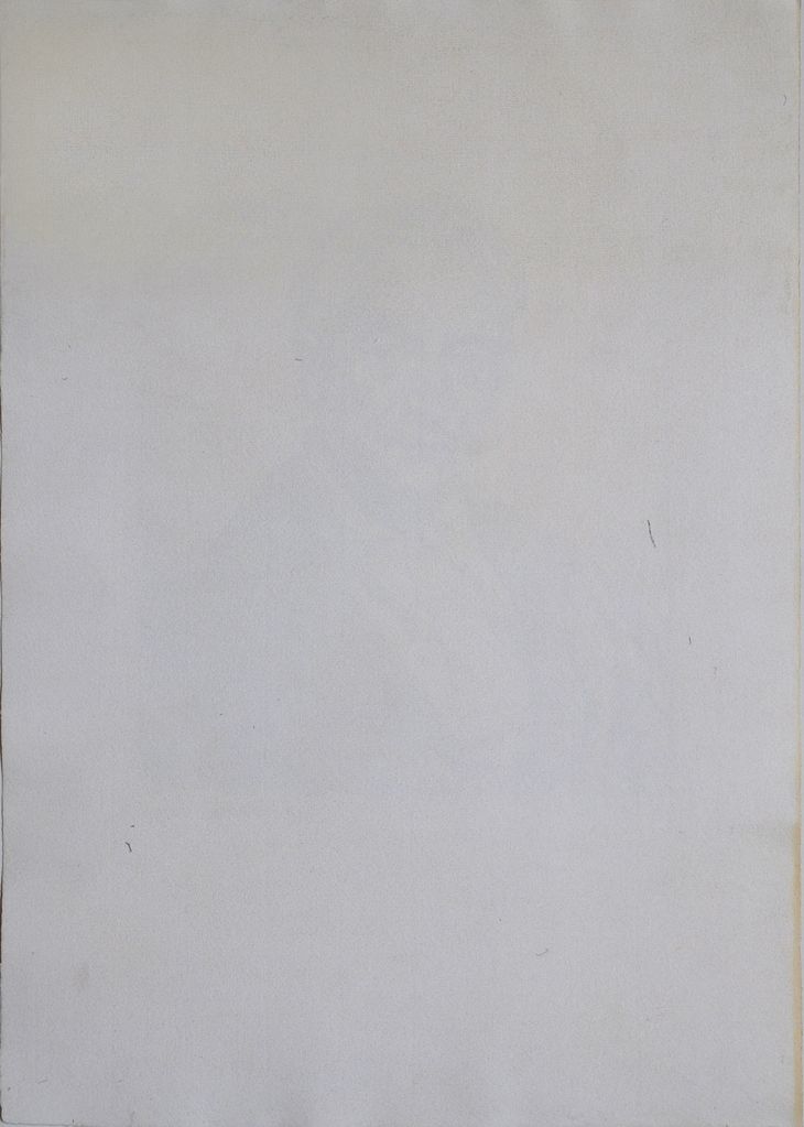 Jaroslav Havlíček - 2